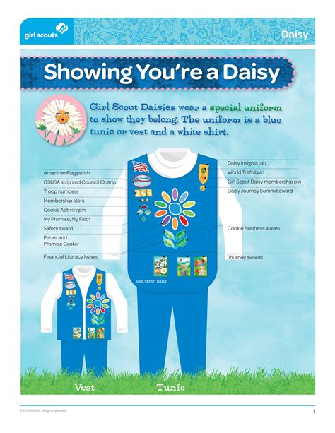 Girl Scout Daisy Tunic Layout