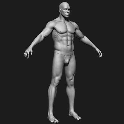 Realistic Human Male Body D Model By Anshu Dartist