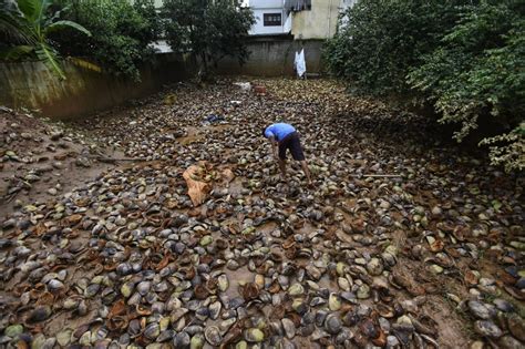 A Gazeta Moradores De Alfredo Chaves Enfrentam Duas Enchentes Em Dias