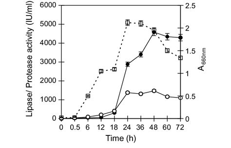 Time Course Of Enzyme Production By P Aeruginosa Psea Lipase Download Scientific Diagram