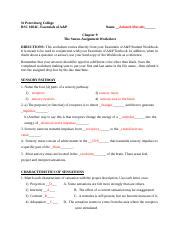 UNIT 6 NERVOUS SYSTEM SPECIAL SENSES Pages 1 4 Flip PDF