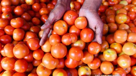 Tomato Price Reaches Rs 100 Per Kg Congress Attacks Pm Modi 100 रुपये किलो पहुंचा टमाटर का भाव