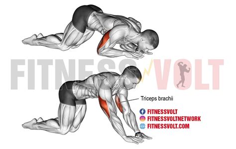 Bodyweight Triceps Workout At Home | EOUA Blog