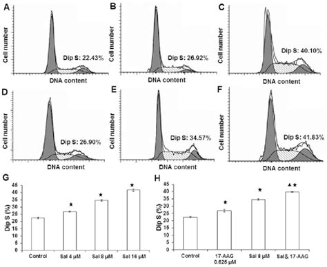 Salinomycin And 17AAG Blocks SGC7901 Cell Cycle Flow Cytometry Was