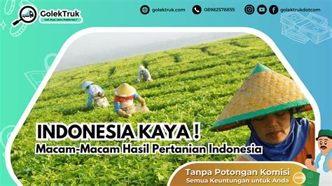 Macam-Macam Hasil Pertanian Indonesia - GolekTruk.com Blog