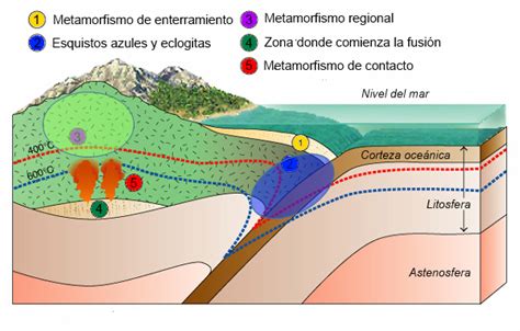 Metamorfismo