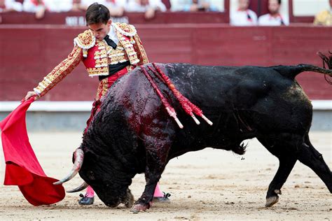 Respaldan en comisiones prohibición de corridas de toros en CDMX