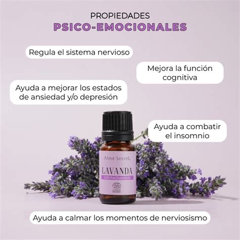 Aceite Esencial De Lavanda Propiedades Y Usos 2024