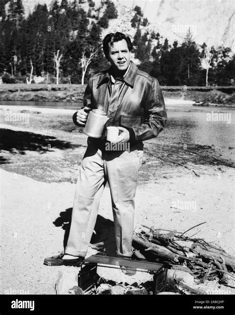 Forever Darling Desi Arnaz 1956 Stock Photo Alamy