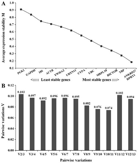 Analysis Of Candidate Reference Genes Using Genorm A Average