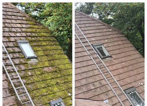 Roof Moss Removal Limerick Roof Biocide Treatment Clare