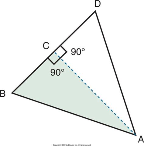 Radiology Chapter 20 Bisecting Technique Flashcards Quizlet