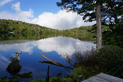 白駒池から天狗岳 ヘロへろさんの八ヶ岳（赤岳・硫黄岳・天狗岳）の活動データ Yamap ヤマップ