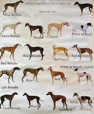 Great Breed Comparison Chart Hundreds