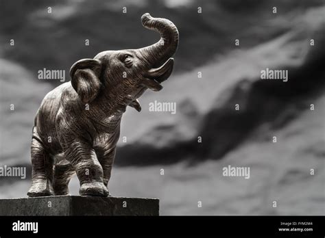 Elephant tusk carving hi-res stock photography and images - Alamy