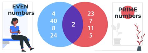 What Is A Venn Diagram A Fun Math Activity For Kids