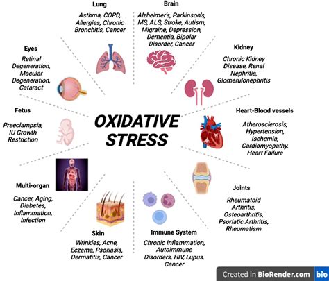 Oxidative Stress And Antioxidants In Health And Disease