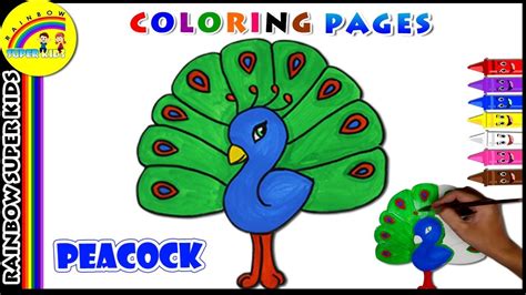 Peacock Images Drawing For Kids