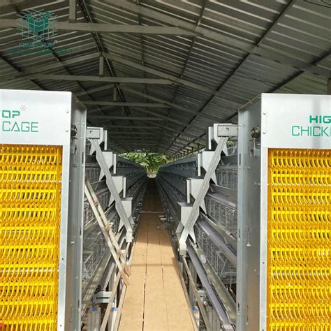 Automatic System A H Type Poultry Equipment Egg Layer Chicken Battery