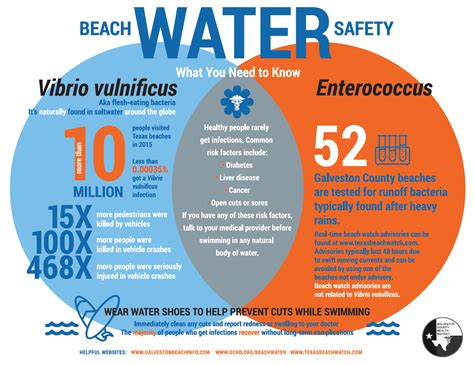 Vibrio vulnificus bacteria | Galveston County Health District