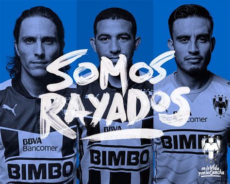 ImÁgenes De Rayados Fotos Escudos Fondos