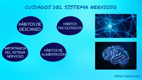 Cuidados Del Sistema Nervioso By Adri N Maldonado Rivera On Prezi