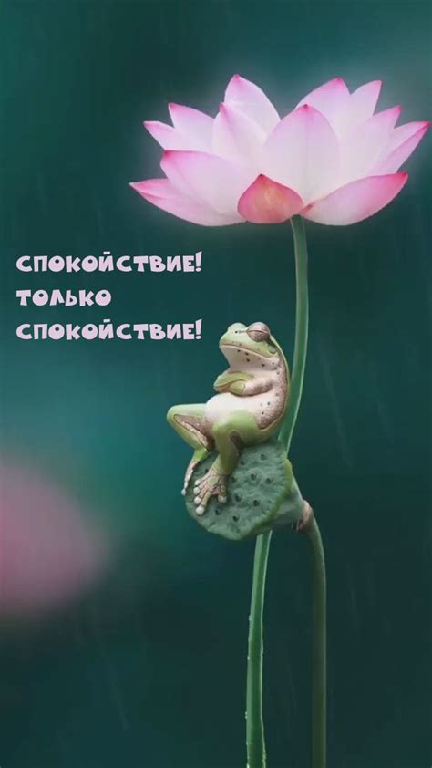 Картинка - Спокойствие! Только спокойствие!.
