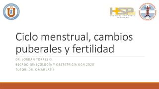 Ciclo Menstrual Cambios Puberales Y Fertilidad Ppt