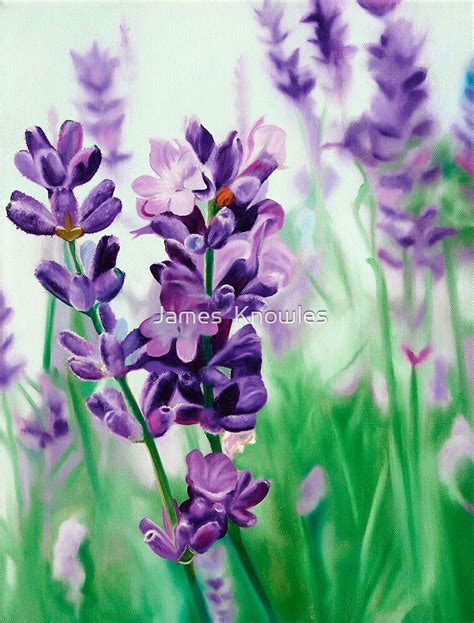 "Lavender Lovers - oil painting of lavender blossoms" by James Knowles ...