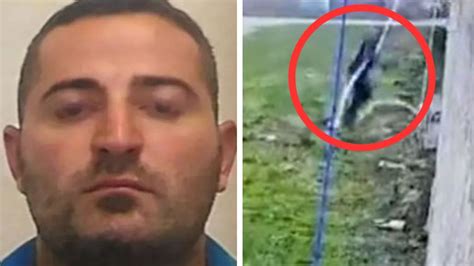 Wild Video Captures Italian Mob Boss Escaping From Prison With Bedsheet