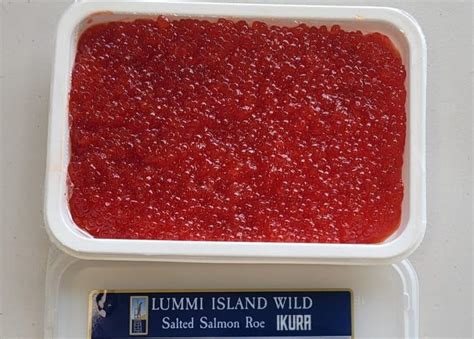 Ikura Pink Salmon Caviar Roe Kilo Lummi Island Wild