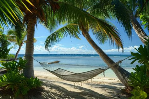 A Relaxing Scene On A Beach With A Hammock Suspended Between Two Palm