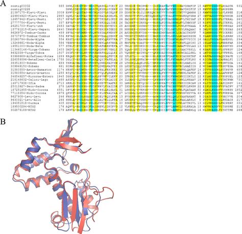 The RdRp of the putative archaeal viruses. (A) Multiple sequence ...