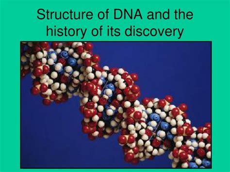 Ppt Structure Of Dna And The History Of Its Discovery Powerpoint