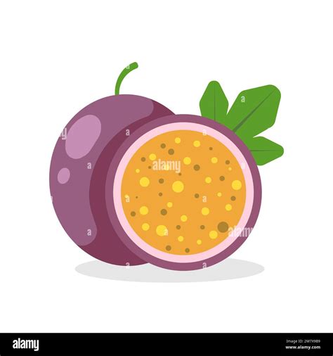 Passion Fruit Isolated On White Background Vector Illustration Eps 10