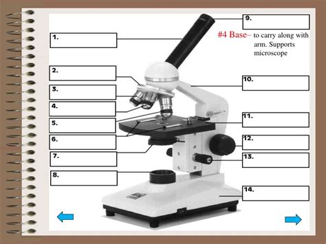 Ppt Introduction To The Microscope Powerpoint Presentation Free Download Id1761846