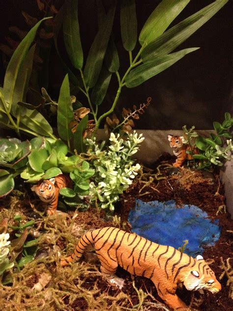 Tiger Habitat Skoleprosjekt Tijger Gespot In Kinderboerderij