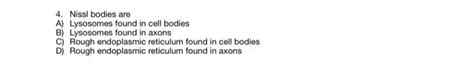 Solved 4. Nissl bodies are A) Lysosomes found in cell bodies | Chegg.com