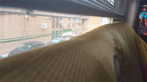 EMILY WIFE WHORE SLUT EMILYHOTSLUT ARROBA GEMAIL PUNTO Porn Pic