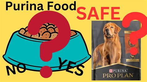 New Pet Food Recall Is Purina Dog Food Making Your Dog Sick Youtube