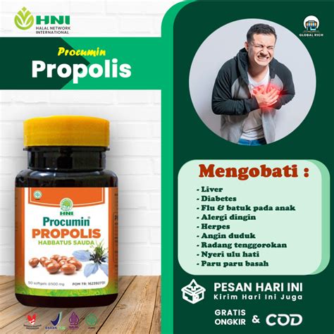 Jual PROCUMIN PROPOLIS HNI HPAI ORIGINAL Obat Paru Paru TBC Asma