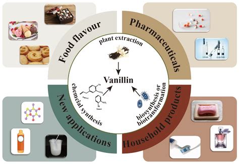 Biological Production Of Vanillin Encyclopedia MDPI