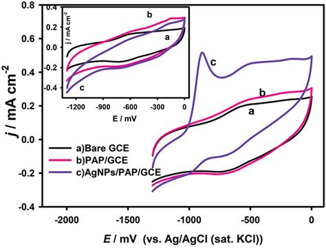 Demonstrates The Cyclic Voltammograms Obtained With The Bare PAP GCE