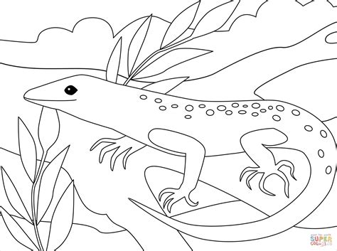 Lizard Coloring Page Free Printable Coloring Pages