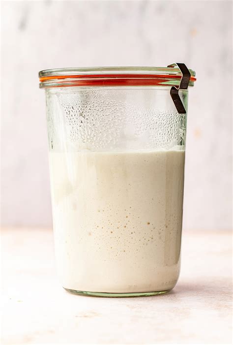 How To Make Sourdough Starter From Scratch Laptrinhx News