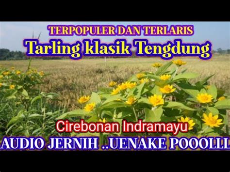 Tarling Klasik Tengdung Cirebonan Indramayu Terpopuler Bikin Lebih