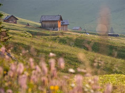 Some Mountain Huts in the Fields, Dolomites, Italy Stock Photo - Image ...