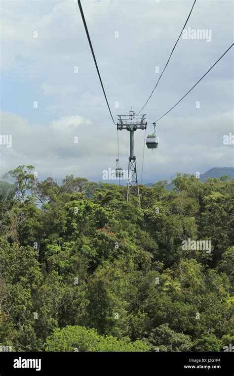 Skyrail Rainforest Cableway Running From Kuranda To Smithfield Cairns