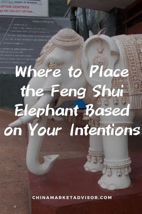 Where To Place The Feng Shui Elephant Based On Your Intentions Feng