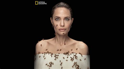 World Bee Day Angelina Jolie Poses With Swarm Of Bees To Highlight